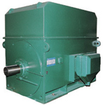 YTM、YHP、YMPS系列6KV磨煤機(jī)用電動(dòng)機(jī)