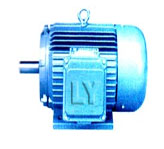 嵐洋 Y系列三相異步電動機(jī)