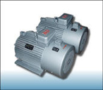 宏泰 YZB（F）變頻系列異步電動(dòng)機(jī)