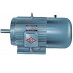 大中電機(jī) YEJ系列異步電動機(jī)