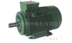 金達(dá) yze、yzre系列起重及冶金用電磁制動(dòng)三相異步電機(jī)