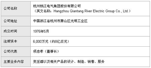 杭州錢江電氣集團的公司簡介