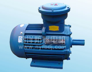 YB2-W、TH、WTH系列隔爆型三相異步電動機(jī)