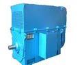 臥龍電氣 YKK、YKS系列中型高壓三相異步電動機(jī)
