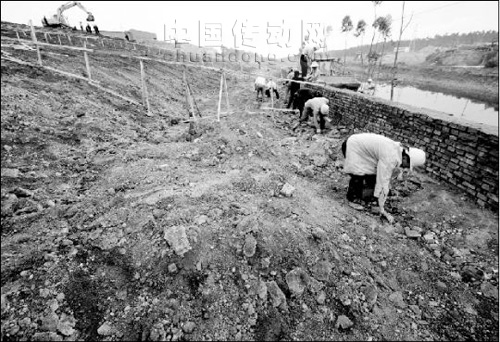 云南興隆村，遭受鉻渣污染，無辜者深受鉻污染之苦，被大家戲稱為“癌癥村”的興隆村進(jìn)入公眾視線