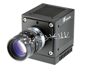 雷得興業(yè) VA-8MC-Vieworks大靶面高速相機